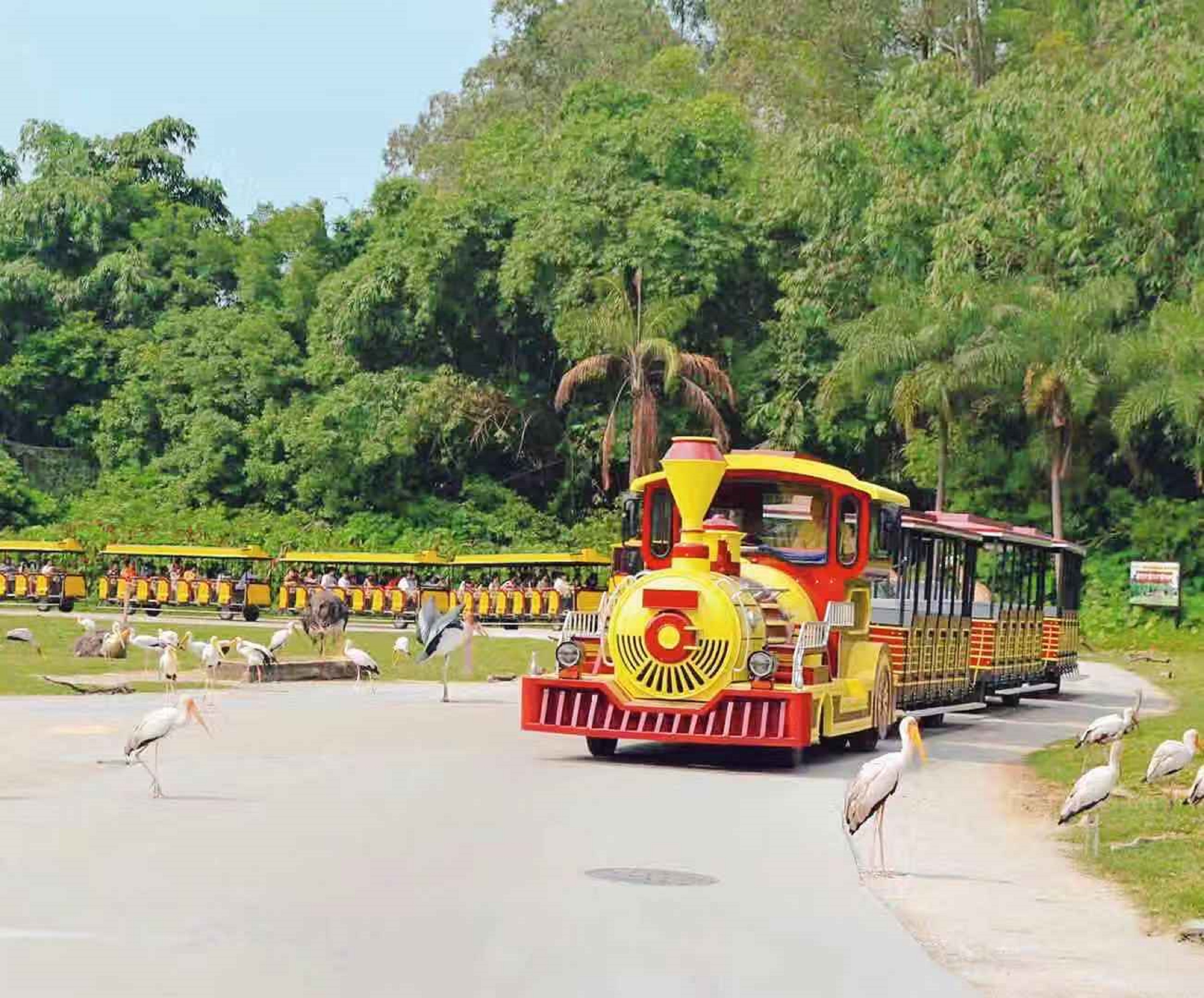 无轨道小火车